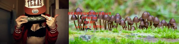 гашишное масло Липки