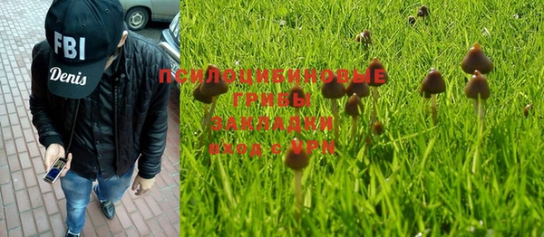 кристаллы Бородино
